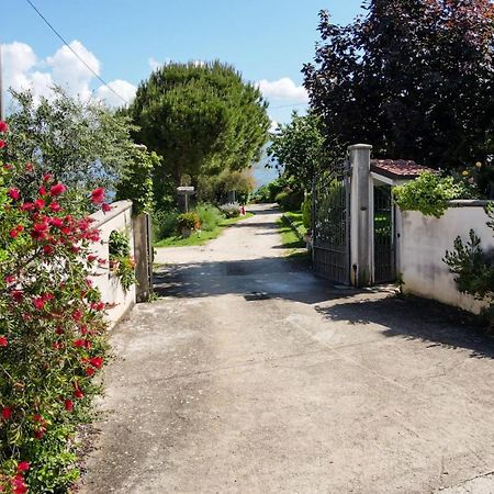 La Staccionata Βίλα Arpino Εξωτερικό φωτογραφία